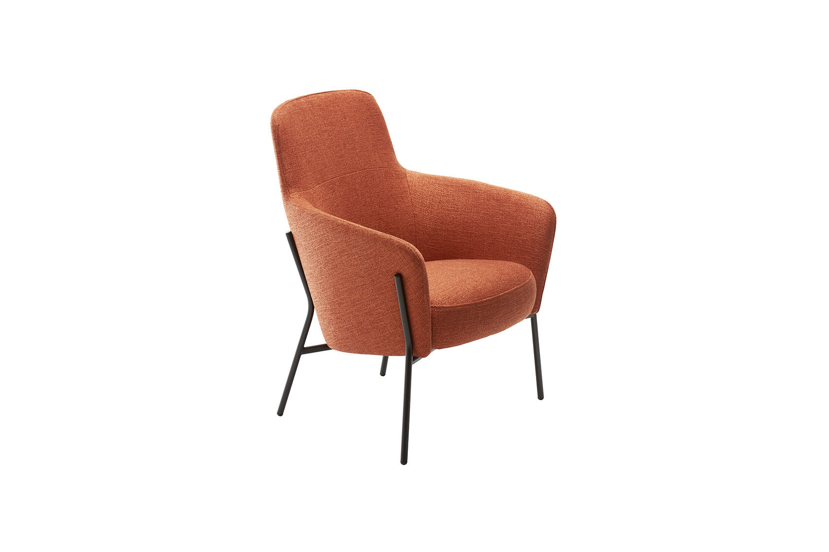 Fauteuil LION